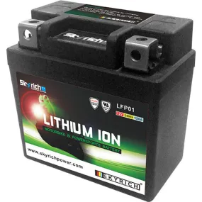 Batterie Skyrich Lithium lfp01 - Batterie
